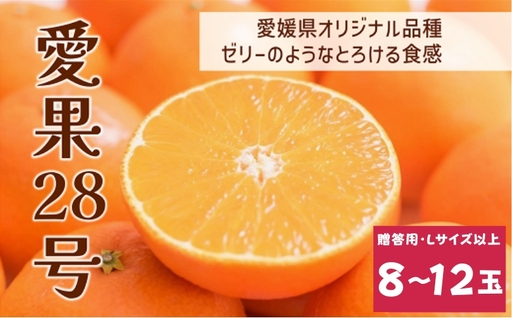 [2026年先行予約]みかん 愛果28号 8〜12玉 Lサイズ以上 贈答用 紅まどんな同一品種 [2026年12月以降順次発送予定] 愛媛 数量限定 愛媛県産 人気 柑橘 フルーツ 国産 おすすめ 伊予市|