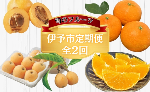 唐川びわ 愛果28号 定期便 (全2回) びわ みかん 柑橘 フルーツ 果物 農園直送 愛媛 伊予市|