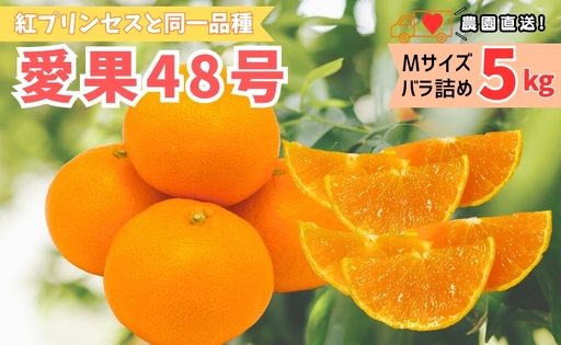 [2027年先行予約]みかん 愛果48号 5kg Mサイズ バラ詰め 贈答用 [2027年3月中旬より順次発送予定] 紅プリンセスと同一品種 農園直送 愛媛 数量限定 愛媛県産 人気 柑橘 伊予市|