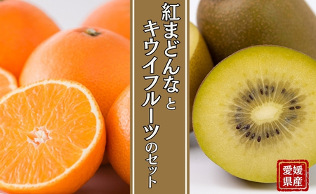 みかん 愛媛 サンゴールドキウイ ゴールドキウイ [2025年11月下旬順次発送予定] サンゴールドまたはゴールドキウイと紅まどんなのセット 人気 数量限定 柑橘 伊予市|B88