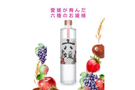 道後ジン 六媛　クラフトジン　スピリッツ　愛媛県産　ボタニカル　500ml｜C02