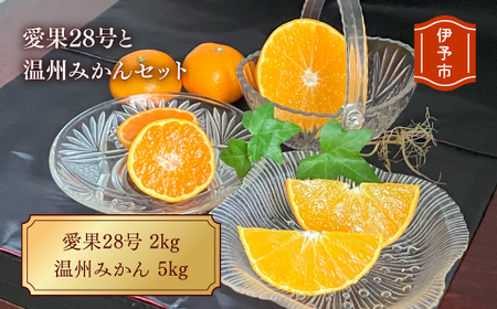愛果28号と温州みかんのセット 小玉マルチ 年内配送 人気 数量限定 みかん 愛媛 柑橘 伊予市 [2025年12月上旬から順次発送予定]|