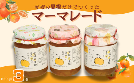 愛媛の夏橙(なつみかん)だけでつくった マーマレード 3個セット