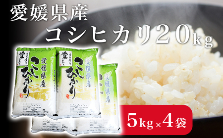 QYRVqJ20kg