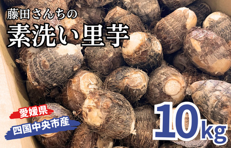  Ƃ   10kg  VN _炩 炩  ܂ lsY