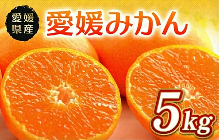 B݂ Gi 5kg Q lsY i팵I  ʕ t[c