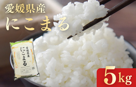 ���Q���Y�ɂ��܂�5kg