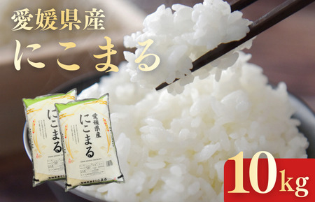 ���Q���Y�ɂ��܂�10kg