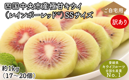 [ぽぽ農園][訳あり・ご自宅用]レインボーレッドキウイ(四国中央市産レインボーレッド) SS サイズ 約1kg(17個〜20個)