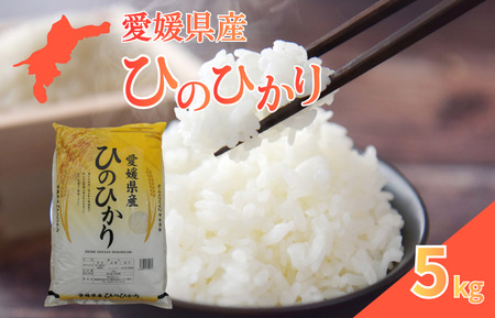 愛媛県産ひのひかり5kg