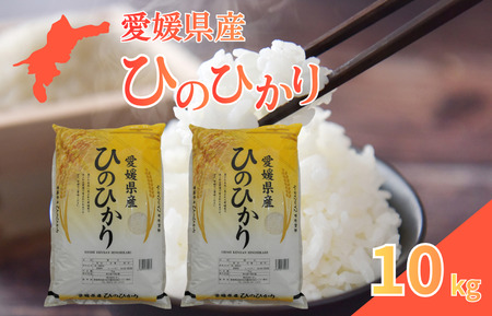 愛媛県産ひのひかり10kg
