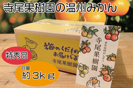 SY݂(B݂)@Gi@3kg(yVY)