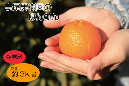 ぽんかん 特秀品3kg(土居町天満産)