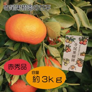 甘平　赤秀品　3kg(土居町天満産)