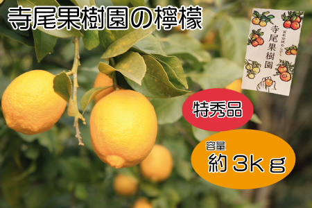 檸檬 特秀品3kg（土居町天満産）