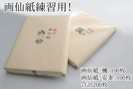 画仙紙練習用！