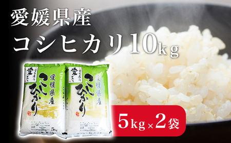 QYRVqJ10kg