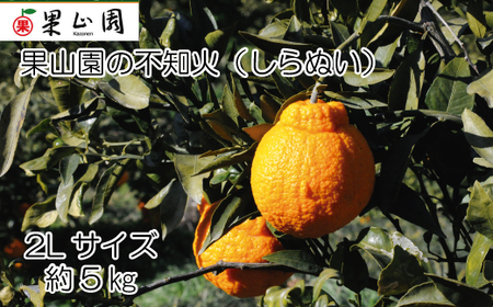 果山園の不知火 2Lサイズ 約5kg みかん 柑橘 フルーツ 旬 あまい 濃厚 産地直送