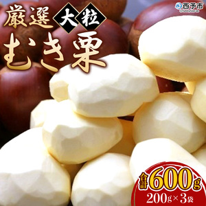 [厳選 大粒むき栗 合計600g(200g×3袋)] くり 生栗 剥き栗 マロン フルーツ 果物 モンブラン 栗ご飯 栗きんとん 栗の甘露煮 秋の味覚 特産品 国産 宇都宮物産 愛媛県 西予市[冷蔵]『2024年10月上旬〜10月下旬迄に順次出荷予定』UUB0043