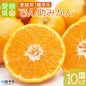 ł񏕔_̉B݂iɑ ƒpj10kg ʕ t[c ~J IW k 񂵂イ݂ p FaY  Y Yi Yn Hׂĉ Q \s y퉷