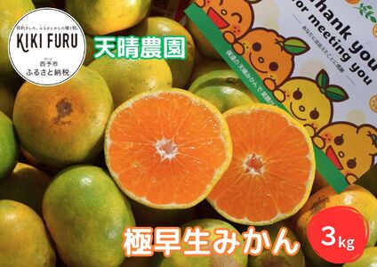 [天晴みかん 極早生 家庭用 約3kg] 温州ミカン 柑橘 果物 くだもの フルーツ 蜜柑 訳あり ワケアリ 自宅用 期間限定 季節限定 食べて応援 特産品 産地直送 あっぱれ農園 天晴農園 愛媛県 西予市[常温]『2024年9月下旬〜10月中旬迄に順次出荷予定』AAN0023