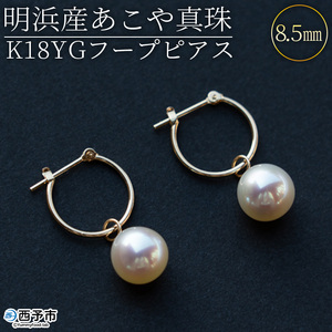 明浜産あこや真珠8.5mm K18Ygフープピアス