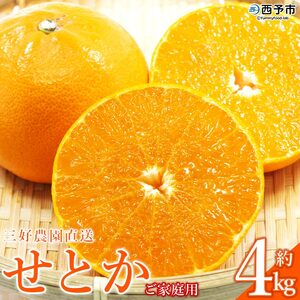 三好農園直送 愛媛県西予市産 秀逸柑橘「せとか」 家庭用 約4kg『2026年4月中旬頃より順次発送予定』MMN0010