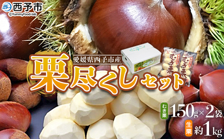 [栗尽くしセット(むき栗150g×2袋・生栗1kg)愛媛県西予市産] くり 生栗 剥き栗 フルーツ マロン モンブラン 家庭用 栗ご飯 栗きんとん 栗の甘露煮 秋の味覚 特産品 国産 宇都宮物産 愛媛県 西予市[冷蔵]『2025年9月中旬〜10月下旬迄に順次出荷予定』UUB0051