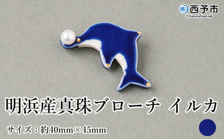 保証書付[明浜産 真珠ブローチ イルカ(青)] 8.0〜8.5mm 純国産 高品質 アコヤ真珠 宇和海 パール アクセサリー 陶器 ファッション レディース 小物 女性 誕生日 記念日 佐藤 cosmic 愛媛県 西予市[常温]『1か月以内に順次出荷予定』ASS0038