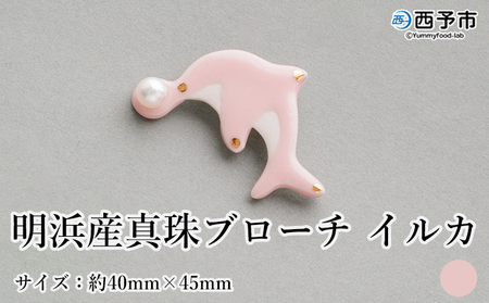 保証書付[明浜産 真珠ブローチ イルカ(桃色)] 8.0〜8.5mm 純国産 高品質 アコヤ真珠 宇和海 パール アクセサリー ピンク 陶器 ファッション レディース 小物 女性 誕生日 記念日 佐藤 cosmic 愛媛県 西予市[常温]『1か月以内に順次出荷予定』ASS0039