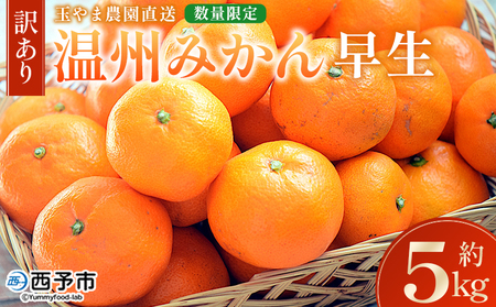 [[訳あり]温州みかん(早生)約5kg 数量限定 産地直送] ワケアリ 家庭用 みかん ミカン うんしゅうみかん ウンシュウ ワセ 蜜柑 柑橘 フルーツ 果物 果実 くだもの 特産品 旬 玉やま農園 愛媛県 西予市[常温]『2024年11月中旬〜12月迄に順次出荷予定』MTN0006