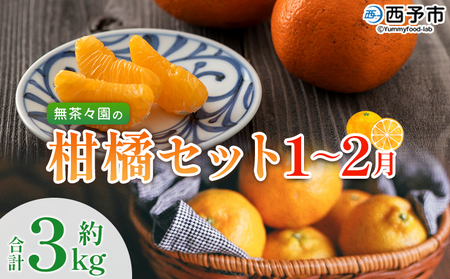 [無茶々園の柑橘セット 約3kg(1〜2月)] フルーツ 果物 くだもの 伊予柑 いよかん イヨカン ポンカン ぽんかん みかん 蜜柑 ミカン 詰め合わせ 詰合せ お楽しみ 食べ比べ お試し ためし 特産品 愛媛県 西予市[常温]『2025年1月〜2月に順次出荷予定』AMC0040