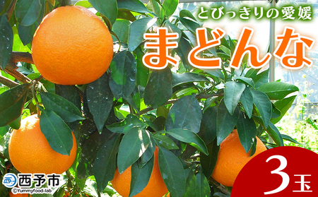 紅まどんなと同品種![とびっきりの愛媛 まどんな(3玉)]マドンナ 愛媛果試第28号 果物 柑橘 フルーツ 期間 旬 季節限定 特産品 産地直送 片山果樹園 西宇和 愛媛県 西予市[常温]『2025年12月中旬〜12月下旬迄に順次出荷予定』MKK0009