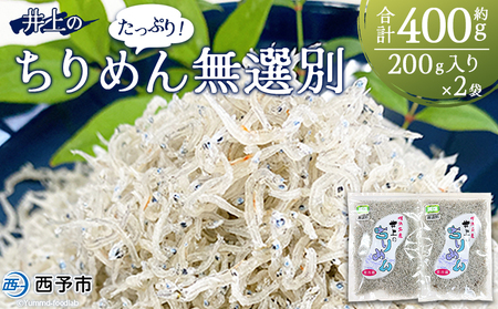 [井上のちりめん 無選別 合計約400g(200g入り×2袋)] ちりめんじゃこ タコ エビ イカ 稚魚 バラバラ かたくちいわし 小魚 小分け カルシウム 乾物 ジッパー付 たっぷり 便利 海鮮 井上水産 特産品 愛媛県 西予市[冷蔵]『1か月以内に順次出荷予定』AIU0003