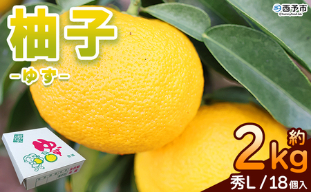 [柚子 秀 Lサイズ 18個] 約2kg 2000g ゆず 国産 果物 フルーツ 低樹高栽培 おいしい JAひがしうわ 東宇和農業協同組合 愛媛県 西予市 [常温]『2024年11月上旬〜11月下旬迄に順次出荷予定』UHU0005