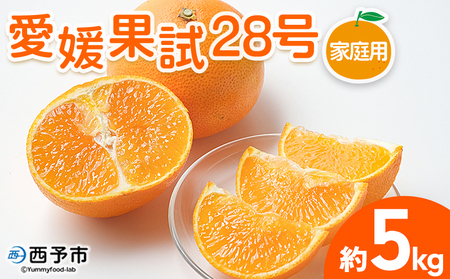 g܂ǂȂƓiIQʎ28 ƒp 5kg 󂠂 킯 p ʕ t[c ݂ ~J  IW Ђ߂ Iׂ Hׂĉ Yi kēc Q \sy