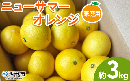 [ニューサマーオレンジ 家庭用 約3kg] 訳あり わけあり 自宅用 果物 フルーツ みかん ミカン 蜜柑 オレンジ 柑橘 にゅーさまーおれんじ 選べる 食べて応援 特産品 柑橘園柴田 愛媛県 西予市[常温]『2025年4月中旬〜5月中旬迄に順次出荷予定』MKE0010