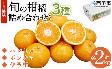[1月発送!旬の柑橘 詰め合わせセット 3種×各2kg] 果物 フルーツ みかん ミカン 蜜柑 柑橘 オレンジ ブラッドオレンジ なつみ はるか ネーブル ポンカン 甘夏 特産品 宇都宮物産 愛媛県 西予市[常温]『1月に順次出荷予定』UUB0060