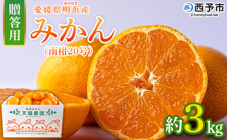 [みかん(南柑20号)贈答用 約3kg] 果物 くだもの フルーツ ミカン 柑橘 なんかん20ごう ナンカン20ゴウ 温州みかん うんしゅうみかん 贈答 ギフト プレゼント 特産品 株式会社笑丸 愛媛県 西予市[常温]『2025年12月上旬〜2026年1月上旬迄に順次出荷予定』AAN0049