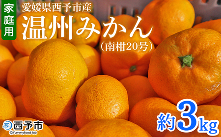 [愛媛県西予市産 温州みかん(南柑20号)家庭用 約3kg(サイズ不揃い・小傷あり)] 訳あり ワケアリ 果物 くだもの ミカン 柑橘 フルーツ 旬 食べて応援 特産品 段畑みかん 愛媛県 西予市[常温]『2025年11月中旬〜12月中旬迄に順次出荷予定』ADM0020
