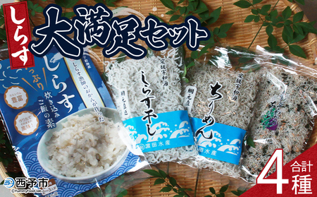 [しらす大満足セット 合計4種]炊き込み 西予市産 ちりめん しらす干し 食べ比べ 健康 カルシウム 詰め合わせ チリメン シラス 魚介 海産物 海鮮 家庭用 贈答用 小分け 国産 特産品 産地直送 濱田水産 愛媛県 西予市[冷凍]『1か月以内に順次出荷予定』AHS0005