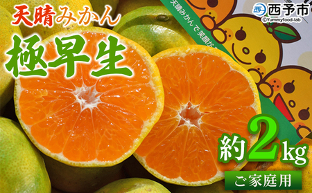 [天晴みかん 極早生 家庭用 約2kg] 温州ミカン 柑橘 果物 くだもの フルーツ 蜜柑 訳あり ワケアリ 自宅用 期間限定 季節限定 食べて応援 特産品 産地直送 ニコマル 株式会社笑丸 愛媛県 西予市[常温]『2025年9月下旬〜10月中旬迄に順次出荷予定』AAN0037
