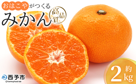 [おはこやがつくる 高品質みかん 約2kg(S〜Lサイズ)] 果物 くだもの フルーツ 柑橘 みかん ミカン 蜜柑 まろやか 絶妙 特産品 西宇和 おはこや 愛媛県 西予市 [常温]『2025年11月中旬から12月中旬迄に順次出荷予定』MOK0018