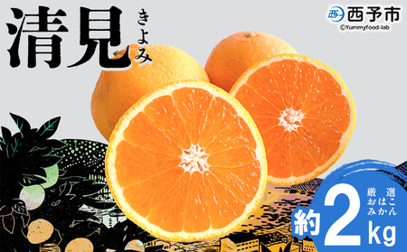 [おはこやがつくる 清見 約2kg(L〜3Lサイズ)] 果物 フルーツ 柑橘 清見タンゴール みかん 特産品 西宇和 愛媛県 西予市[常温]『2026年3月上旬〜3月下旬迄に順次出荷予定』MOK0020