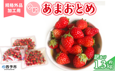 [訳あり いちご あまおとめ 約1.3kg 小粒 加工用 冷蔵 規格外品] 国産 サイズ 小粒 詰め合わせ アマオトメ 訳あり 訳アリ フルーツ 果物 苺 いちご イチゴ シャーベット スムージー りの果樹園 愛媛県 西予市[冷蔵]『2025年3月〜6月迄に順次出荷予定』URK0012