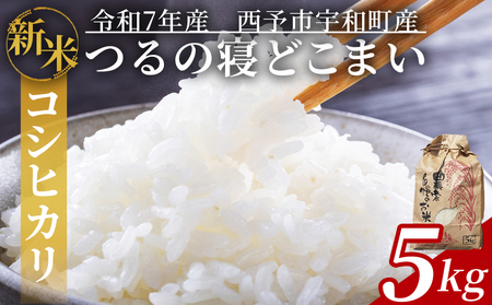 新米 [令和7年産 コシヒカリ「つるの寝どこまい」約5kg 西予市宇和町産] 2025年 こしひかり お米 コメ こめ 白米 精米 ご飯 ごはん 穀物 ライス SDGs 共生 楠 健明 愛媛県 西予市[常温]『2025年9月頃から順次出荷予定』UKK0001