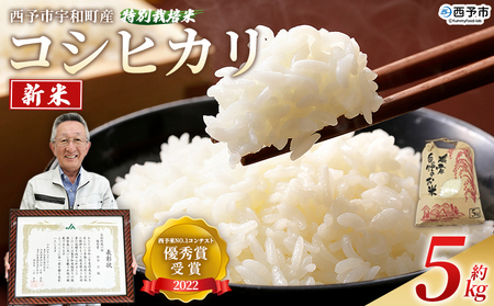 [新米 令和7年産 西予市宇和町産 特別栽培米 コシヒカリ 約5kg] お米 コメ こめ 白米 精米 ご飯 穀物 こしひかり 西予米NO.1コンテスト 優秀賞 特産品 愛媛県 西予市 時谷ファーム 愛媛県 [常温]『9月下旬〜10月下旬の間に順次出荷予定』UTF0003