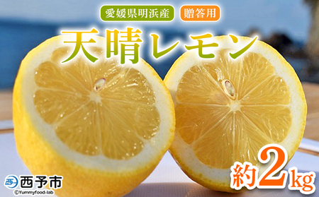 [天晴レモン 贈答用 約2kg] フルーツ 果物 くだもの レモン れもん 檸檬 柑橘 プレゼント 贈り物 お返し お礼 ギフト アレンジ 料理 国産 国産レモン 愛媛県産 特産品 株式会社笑丸 愛媛県 西予市[常温]『2025年9月〜2026年1月に順次出荷予定』AAN0046