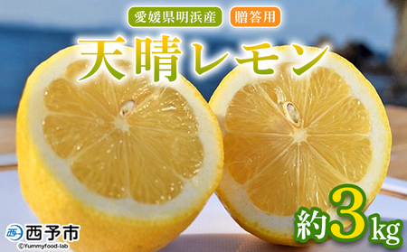 V p 3kg t[c ʕ    EG k v[g 蕨 Ԃ  Mtg AW  Y Y QY Yi ЏΊ Q