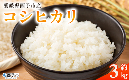 [愛媛県西予市産 コシヒカリ 3kg]国産 愛媛県産 宇和町 宇和米 こしひかり お米 コメ こめ 白米 精米 ご飯 新鮮 3kg 3キロ 選べる 特産品 大塚農園 愛媛県 西予市[常温]『2025年10月・11月頃から順次発送予定』UOT0001